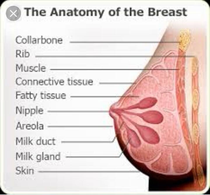 What Causes Breast Pain? What is breast pain? The breasts